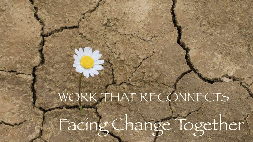 SUNDAY, MAY 29, 2022: Online Workshop of “The Work That Reconnects”, with Inna Alex