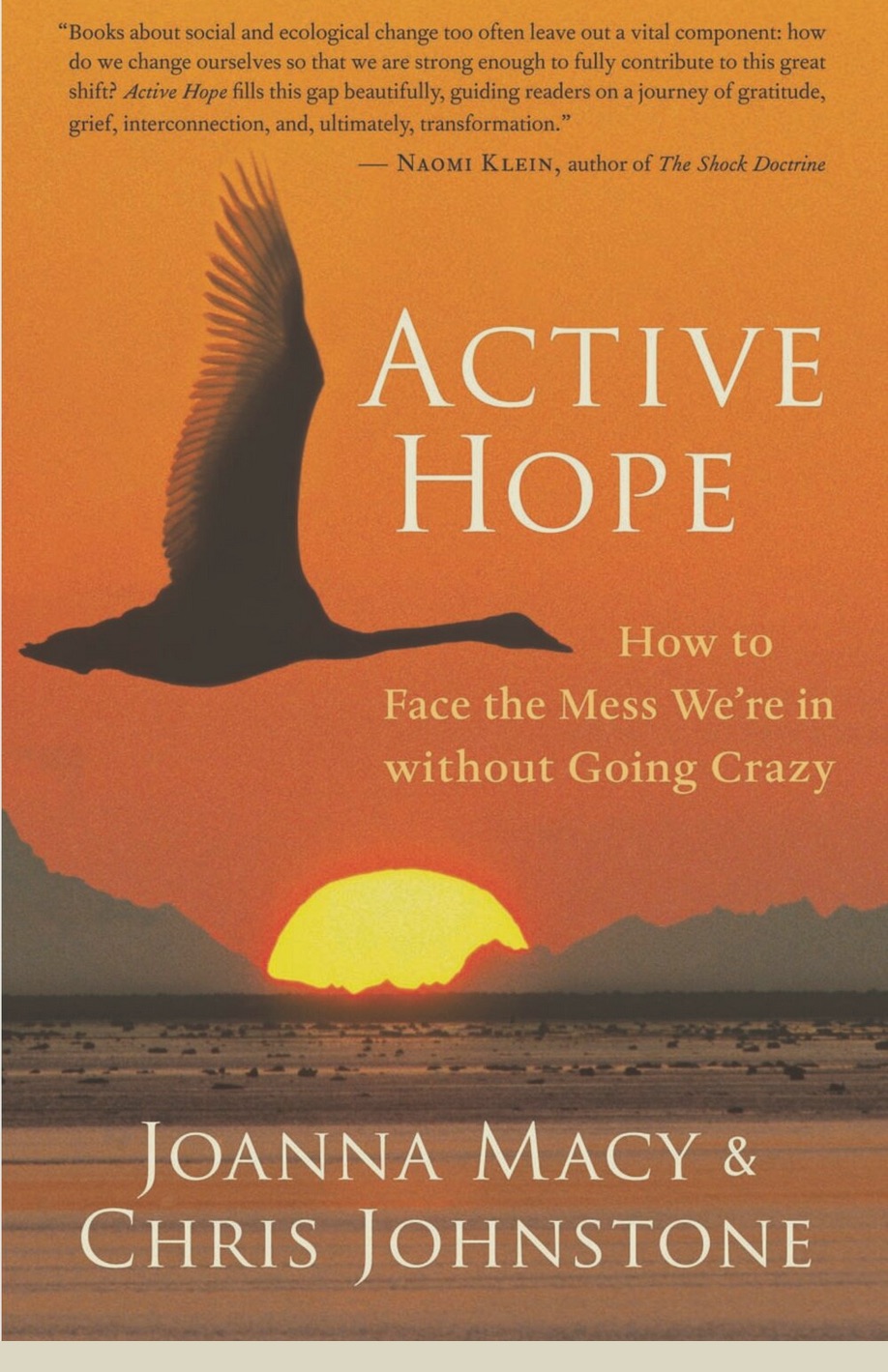Book: “Active Hope: how to face the mess we’re in without going crazy” by Joanna Macy and Chris Johnstone