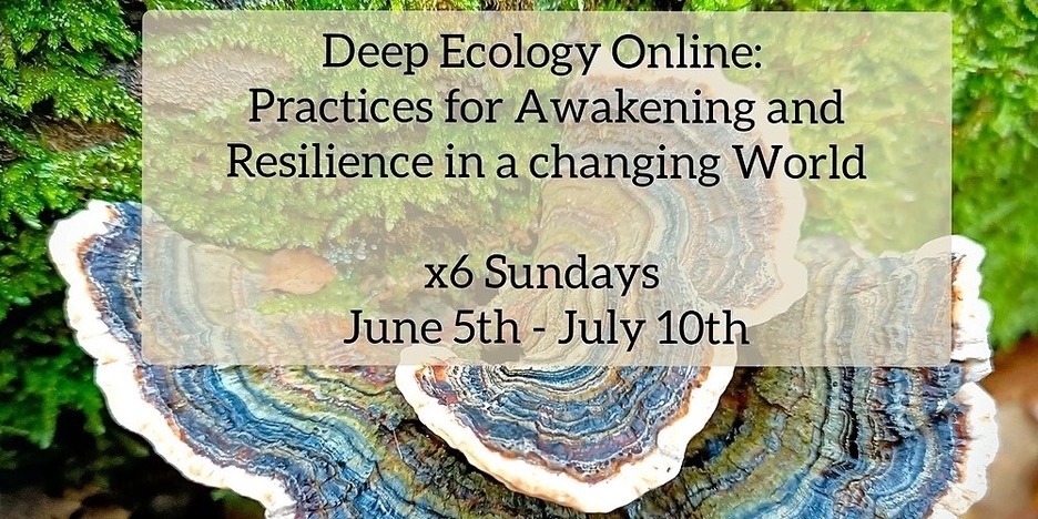 From Sunday 5th JUNE 2022:  6 Week Online Deep Ecology Course Pilot