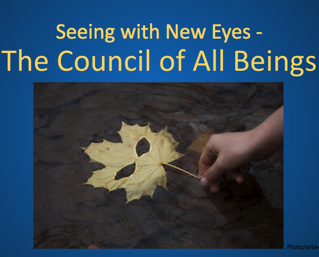 Deep Ecology Online Week 5 – Seeing with New Eyes: The Council of All Beings